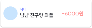 가계부예시